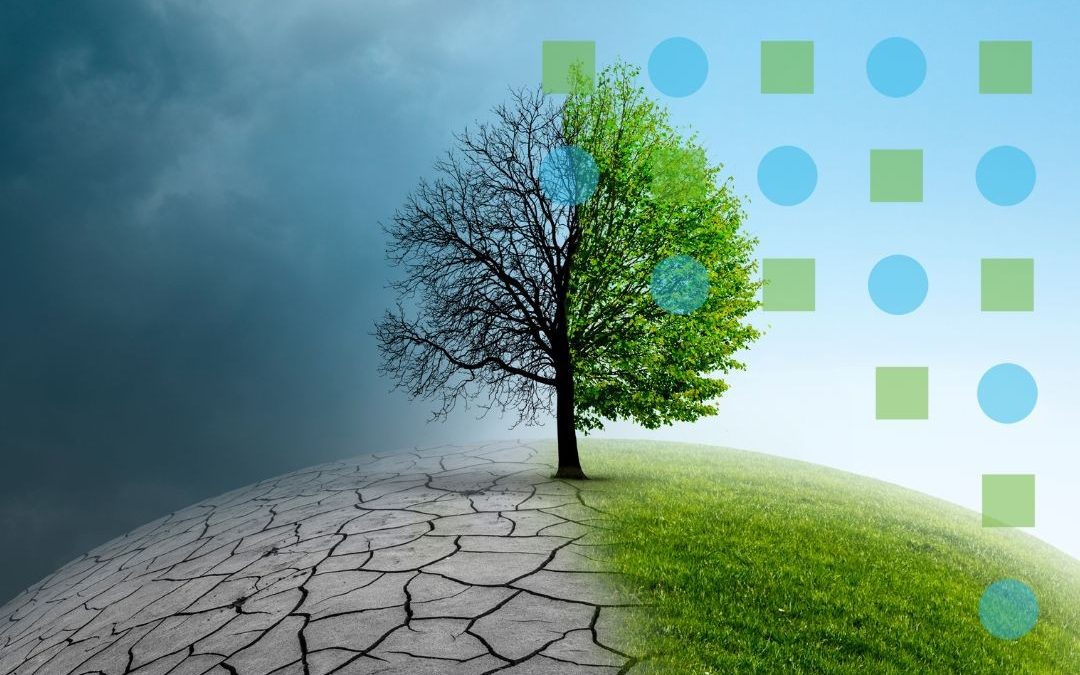 Přednáška „Jak se připravit na klimatickou změnu: chytré technologie a zelená řešení v praxi“ 