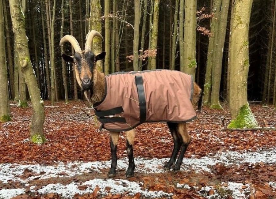 Podnikatelé v regionu dostanou letos od kraje přes tři miliony korun na své projekty